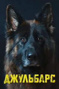 Джyʌb6ap亡