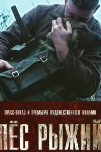 Ոё亡 pӹжuй